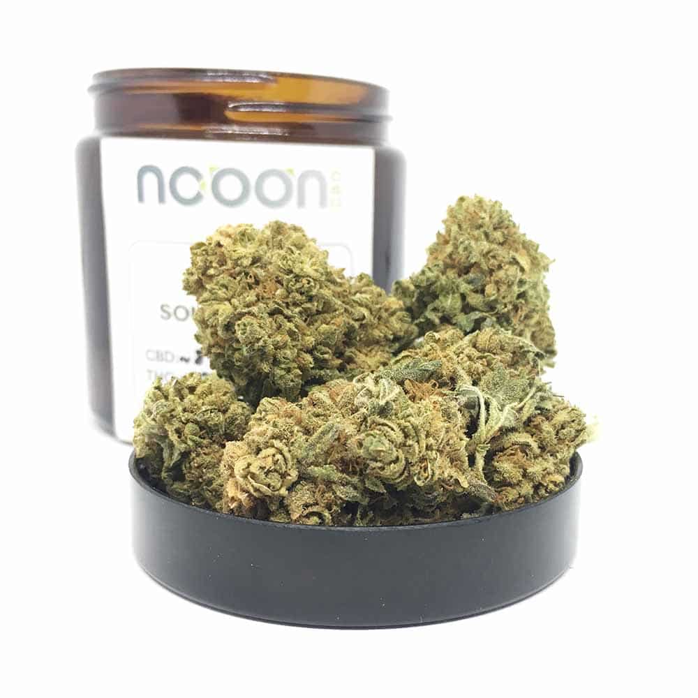 Nooon SOUR DIESEL